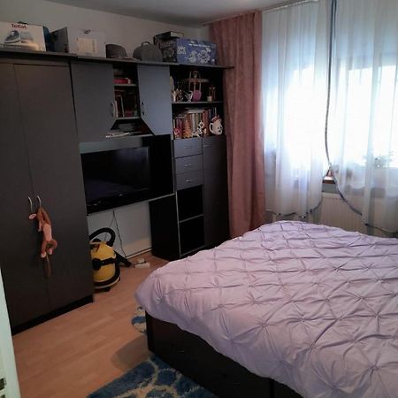 Apartament Straja - Lupeni  Ngoại thất bức ảnh
