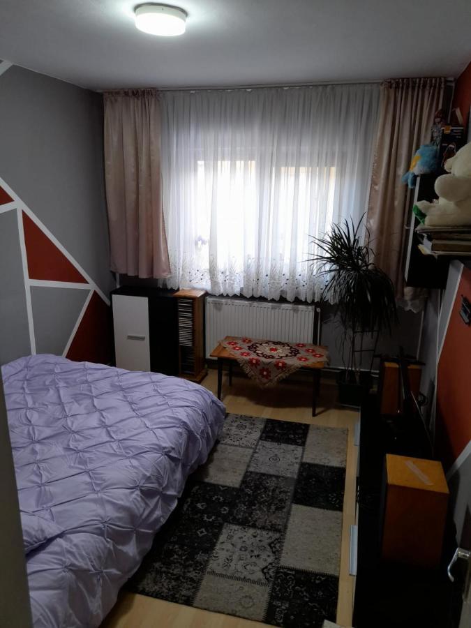 Apartament Straja - Lupeni  Ngoại thất bức ảnh